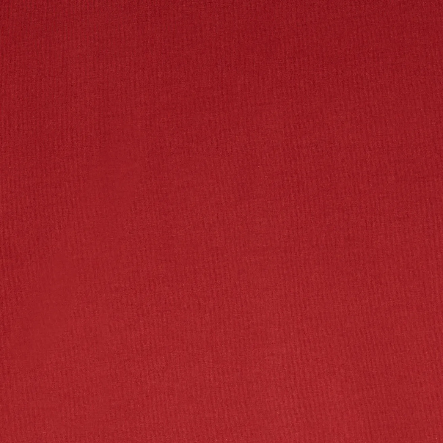 Basic T-shirt met ronde hals