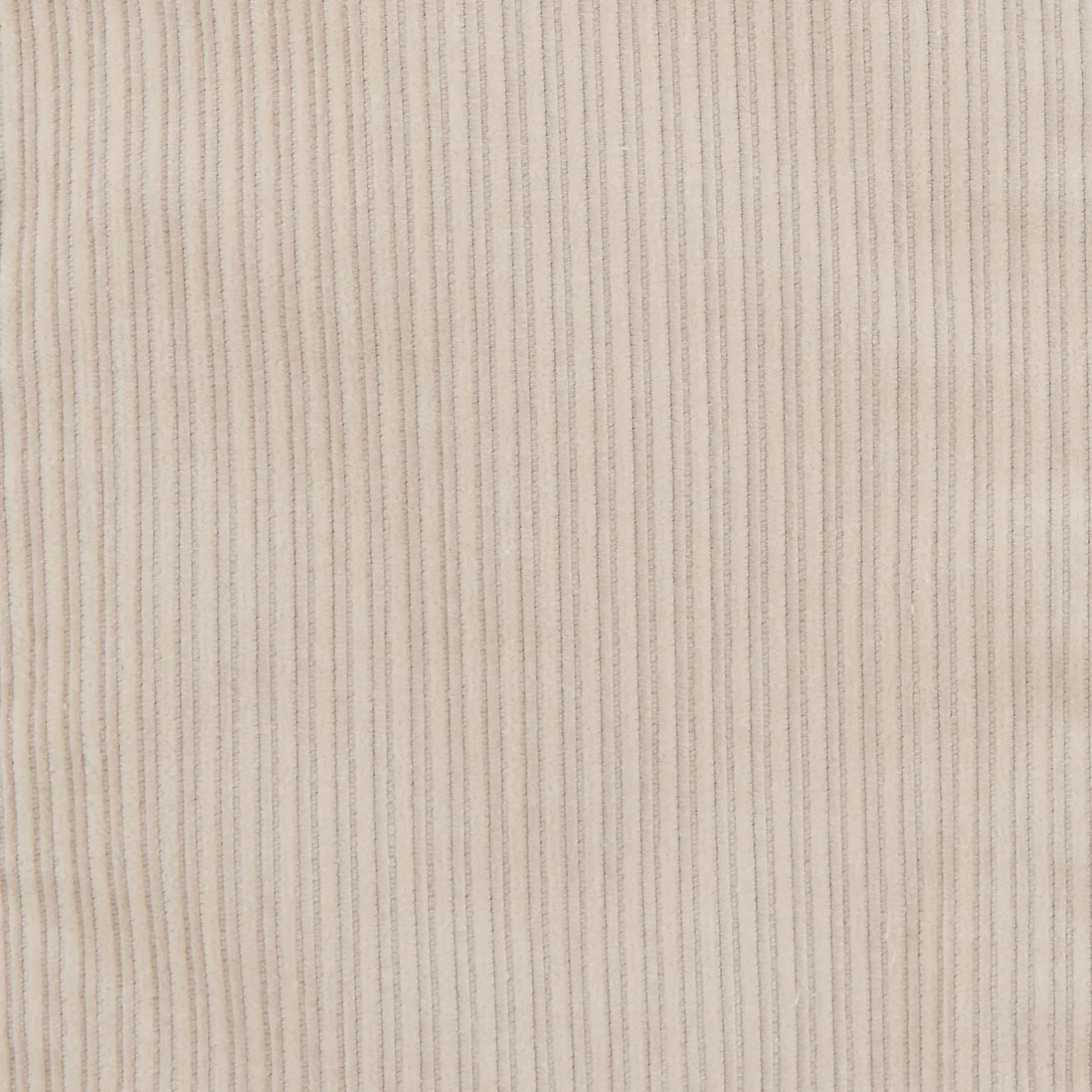 Fluwelen jack met hemdskraag