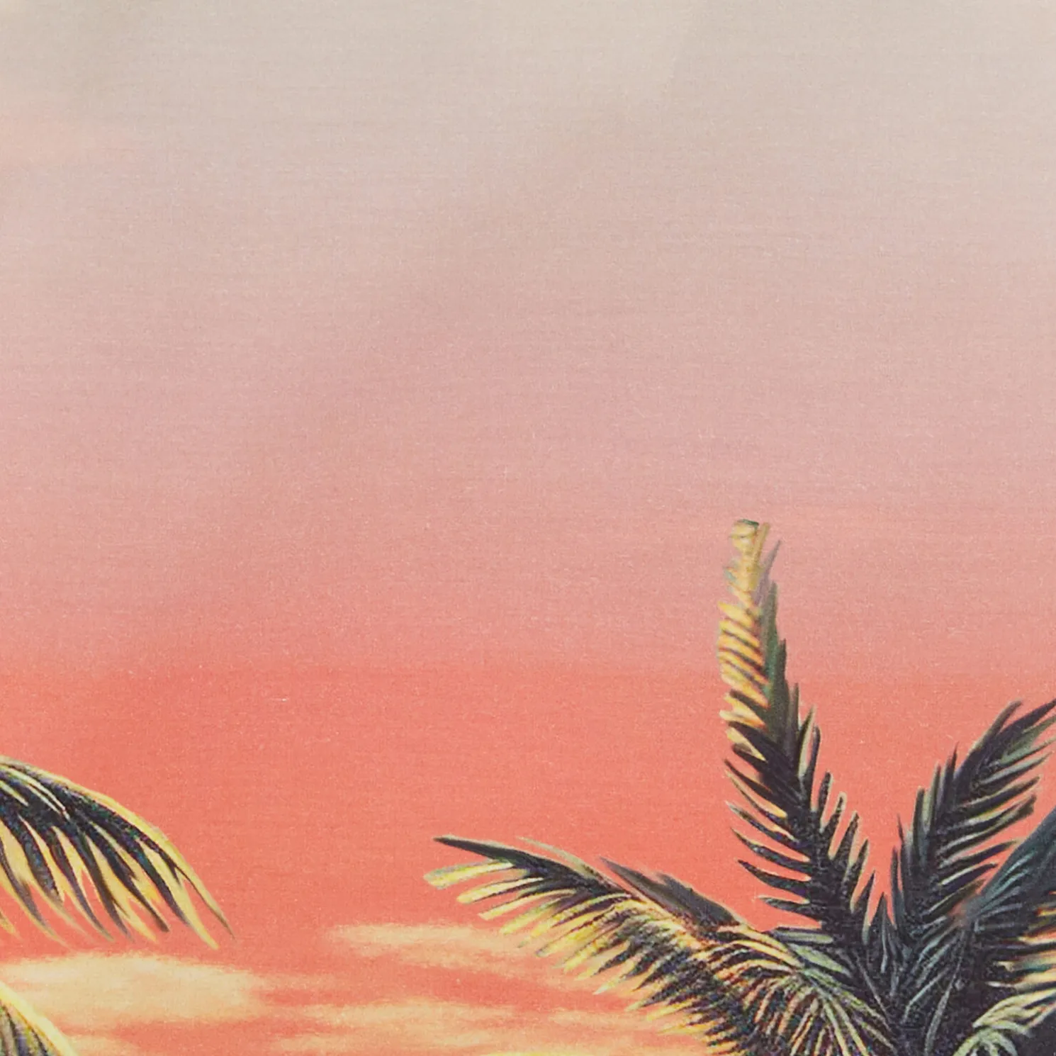 Katoenen hemdje met Hawaïaanse print